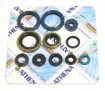 Engine Oil Seal