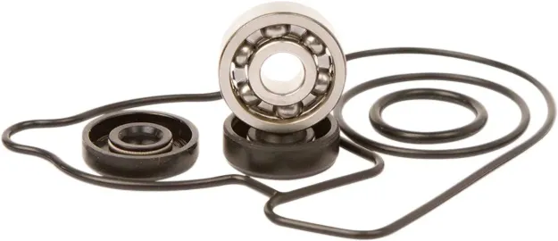 Water Pump Repair Kit
