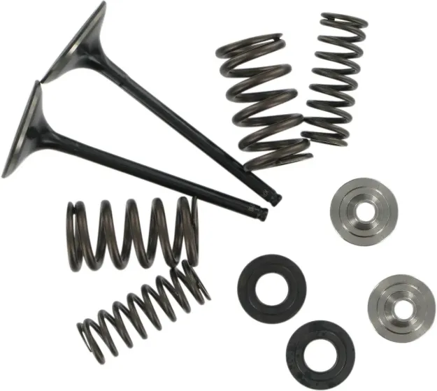 Intake Stainless Conversion Valve and Spring Kit
