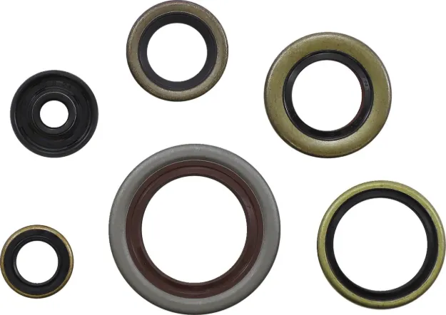 Oil Seal Kit