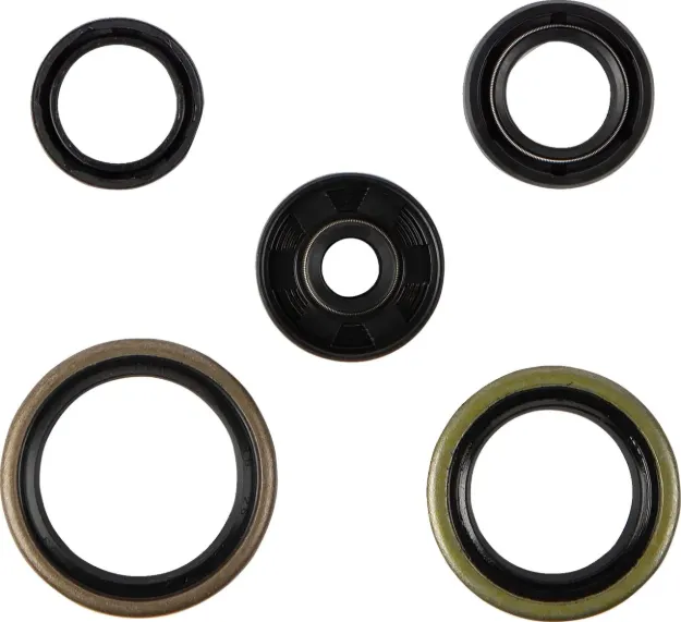 Seals and O-Ring Kit
