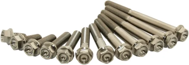 Titanium Screws