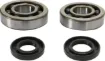 Crankshaft Bearing and Seal Kit