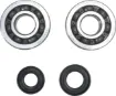 Crankshaft Bearing and Seal Kit