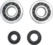 Crankshaft Bearing and Seal Kit