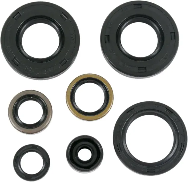 Motor Oil Seals