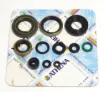 Engine Oil Seal