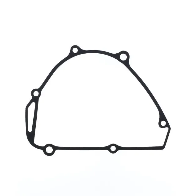 Ignition Gasket