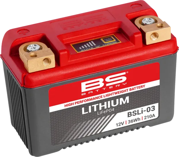Lithium LiFePO4 Battery
