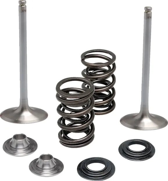 Intake Stainless Conversion Valve and Spring Kit
