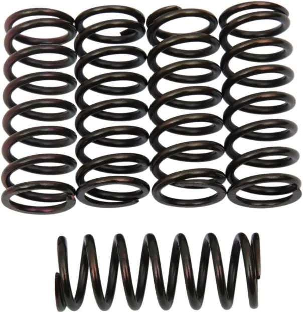 Clutch Spring Kit