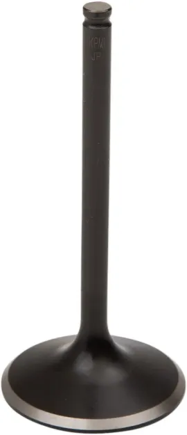 Black Diamond™ Engine Valve