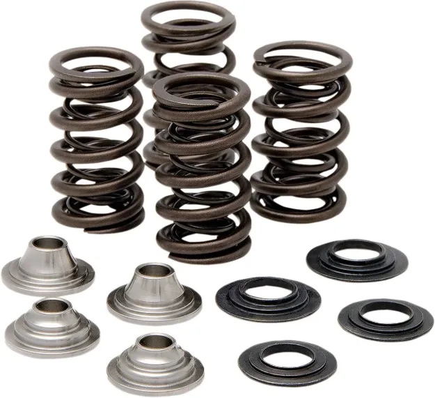 Valve Spring Kit