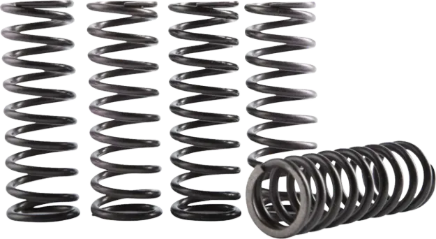 Hi-Temp Clutch Spring Kit