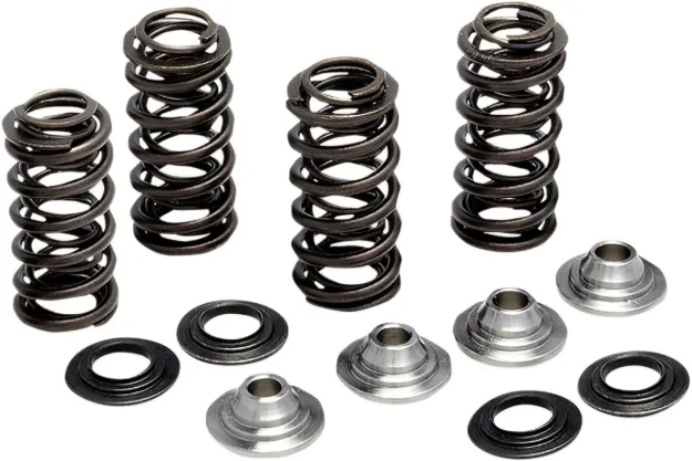 Valve Spring Kit