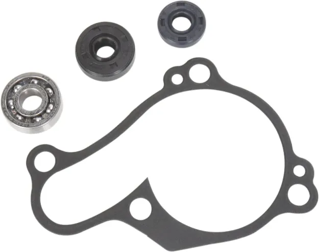 Water Pump Repair Kit