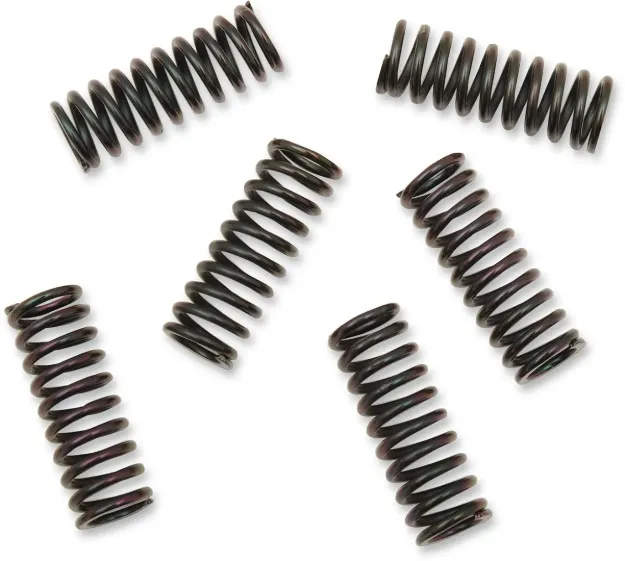 Clutch Spring Kit