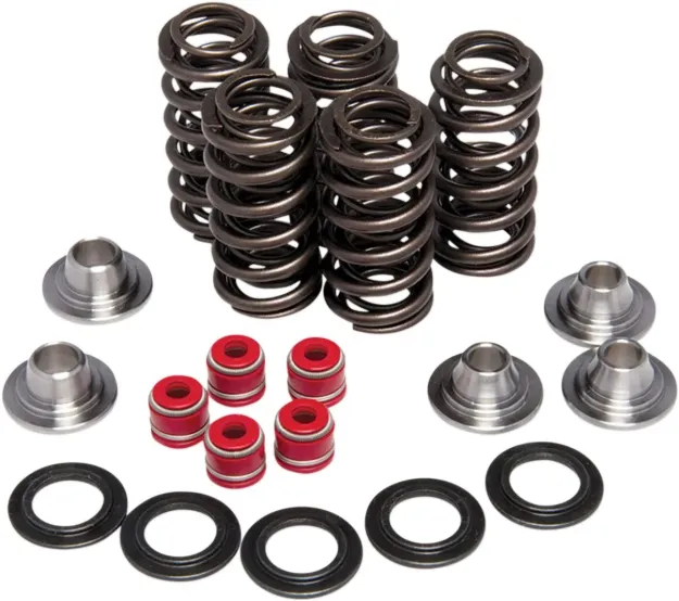 Lightweight Racing Valve Spring Kit