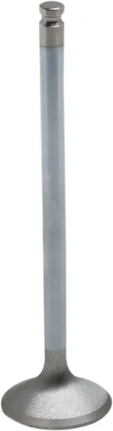 White Diamond® Engine Valve