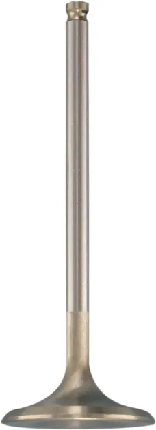 White Diamond® Engine Valve