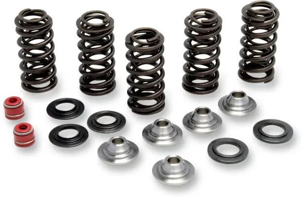 Valve Spring Kit