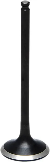 Black Diamond™ Engine Valve