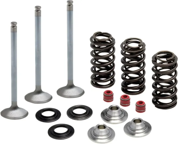 Intake Stainless Conversion Valve and Spring Kit