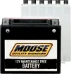 AGM Maintenance Free Batteries