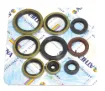 Engine Oil Seal