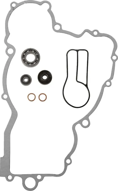 Water Pump Rebuild Kit