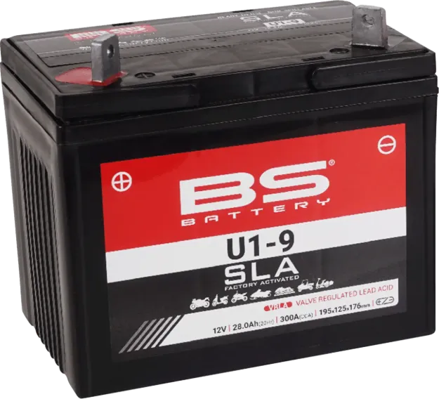 SLA Factory- Activated AGM Maintenance-Free Battery