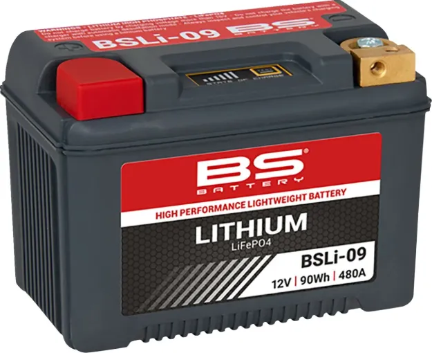 Lithium LiFePO4 Battery