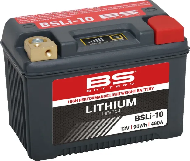 Lithium LiFePO4 Battery