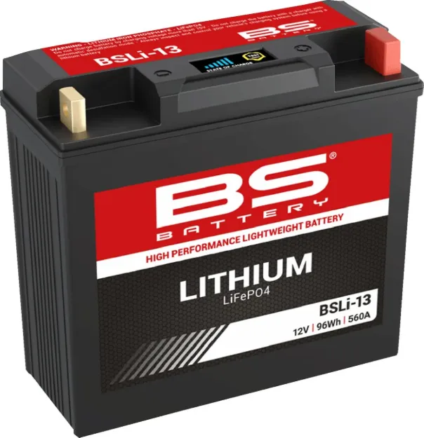 Lithium LiFePO4 Battery