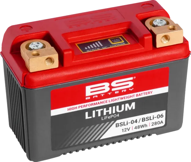 Lithium LiFePO4 Battery
