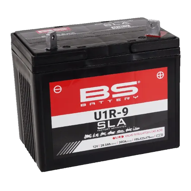 SLA Factory-Activated AGM Maintenance-Free Batteries