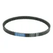 Scooter Transmission Belt