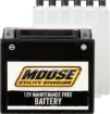 AGM Maintenance Free Batteries