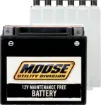 AGM Maintenance Free Batteries