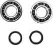 Crankshaft Bearing and Seal Kit