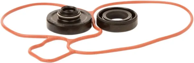 Water Pump Repair Kit