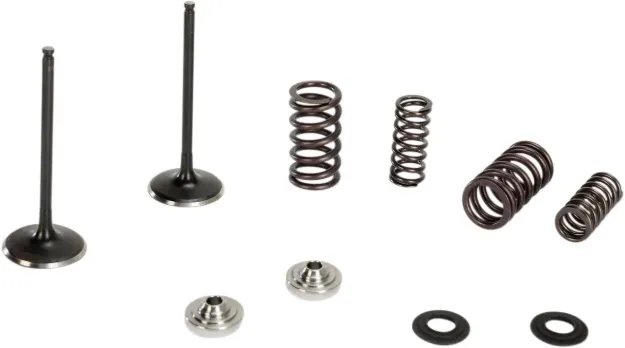 Intake Stainless Conversion Valve and Spring Kit
