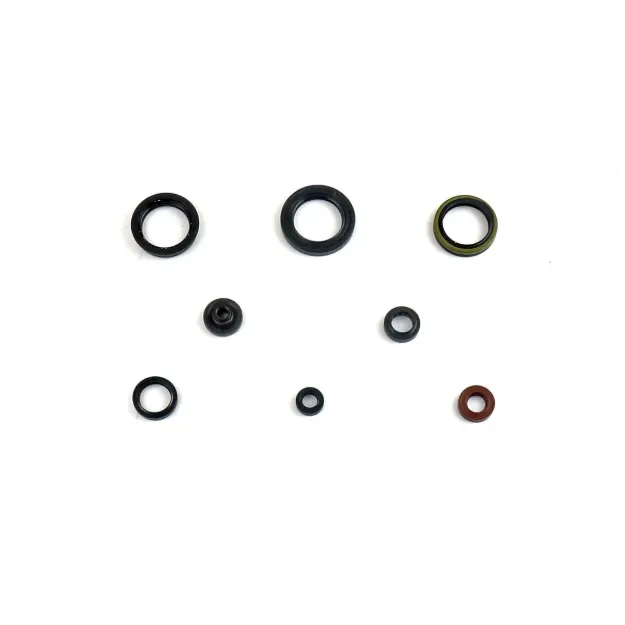 Engine Oil Seal