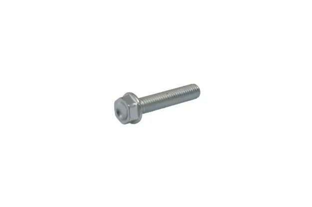 Bolt Mounting Screw