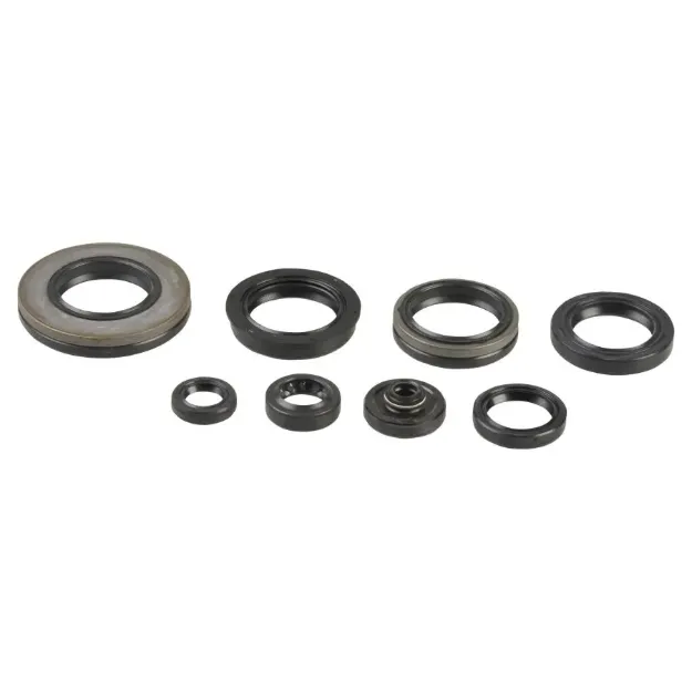 Engine Oil Seal