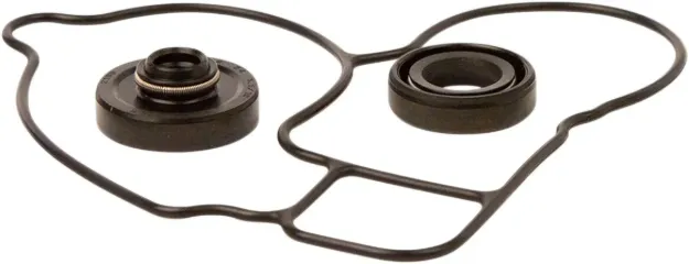 Water Pump Repair Kit