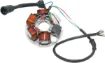 Alternator Stators
