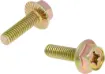 Exhaust Screws