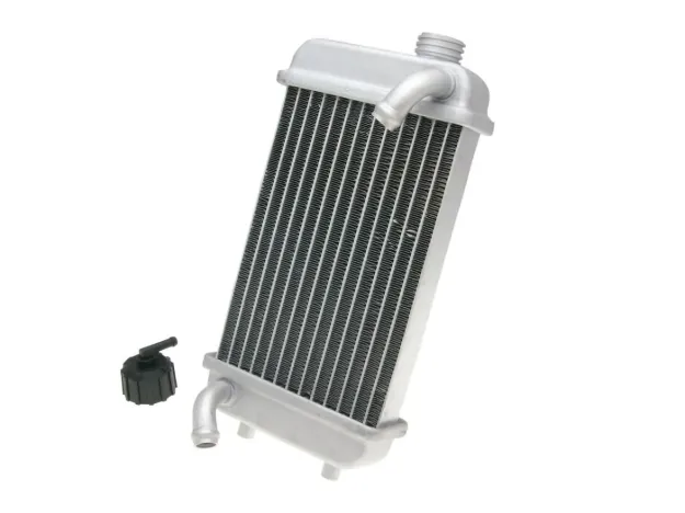 Radiator Cap