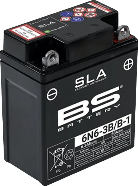 SLA Factory-Activated AGM Maintenance-Free Batteries